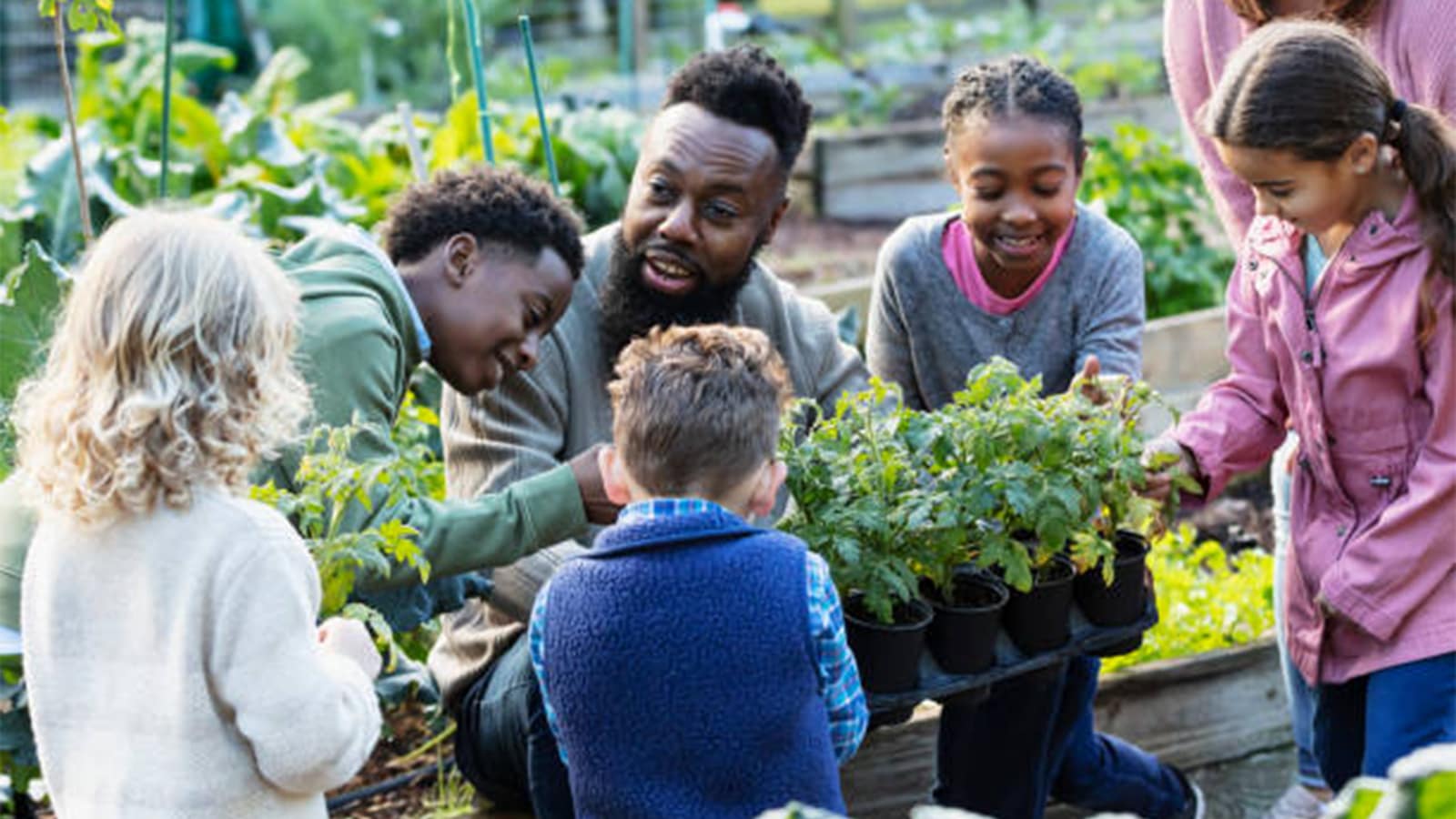 Community Development Grant Champions Card Image