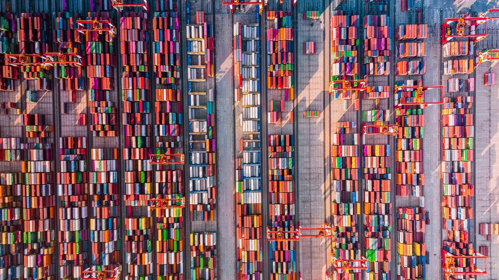 Shipping containers loaded in rows