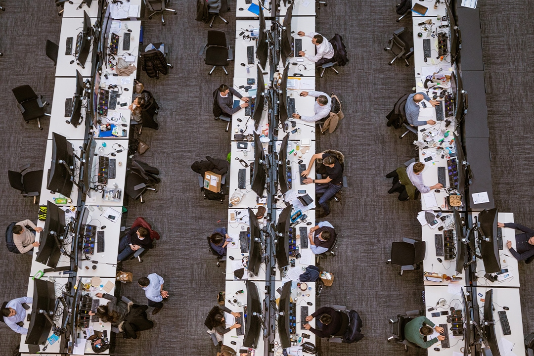 Global Stocks Are Projected to Return 11% in the Next 12 Months Card Image